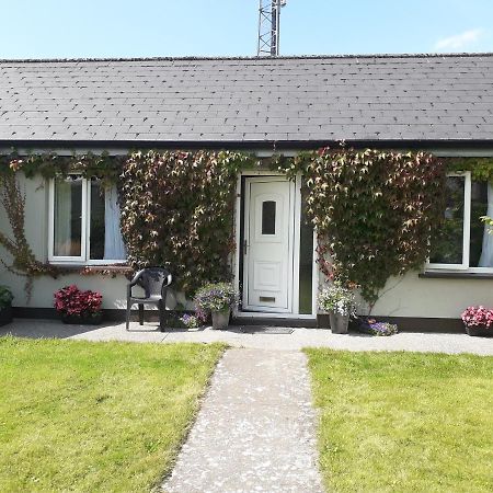 Lakeside Loughrea Bagian luar foto